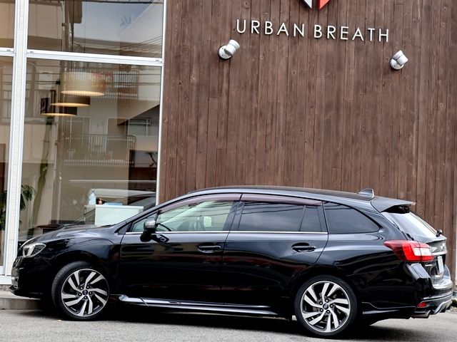 LEVORG