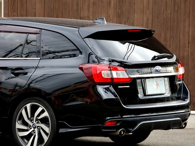 LEVORG