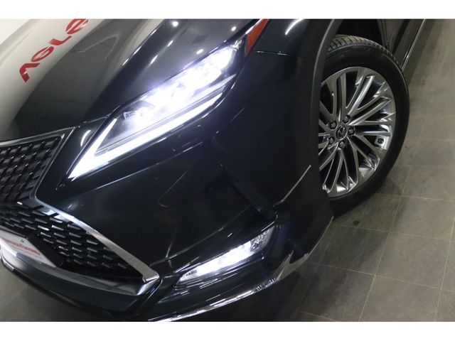 LEXUS RX300