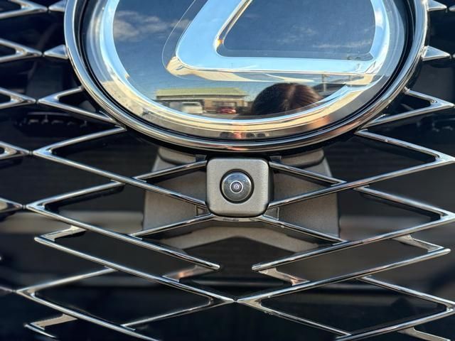 LEXUS NX450h+ AWD