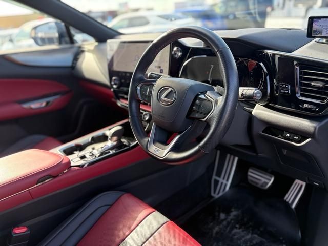 LEXUS NX450h+ AWD