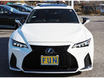LEXUS IS300h