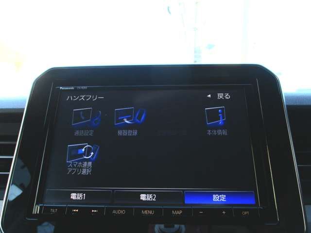 IGNIS