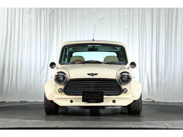 ROVER MINI