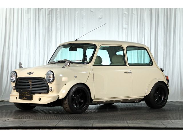 ROVER MINI