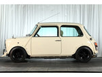 ROVER MINI