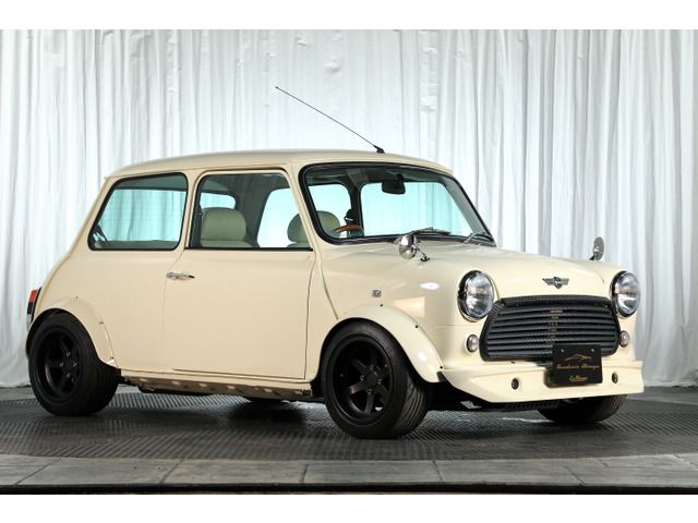 ROVER MINI