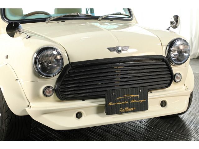 ROVER MINI