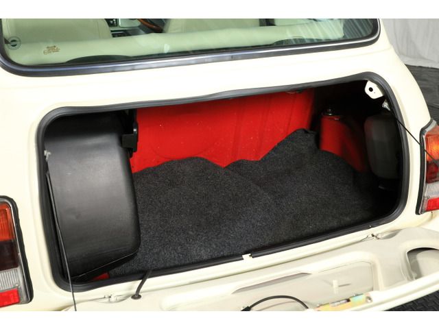 ROVER MINI