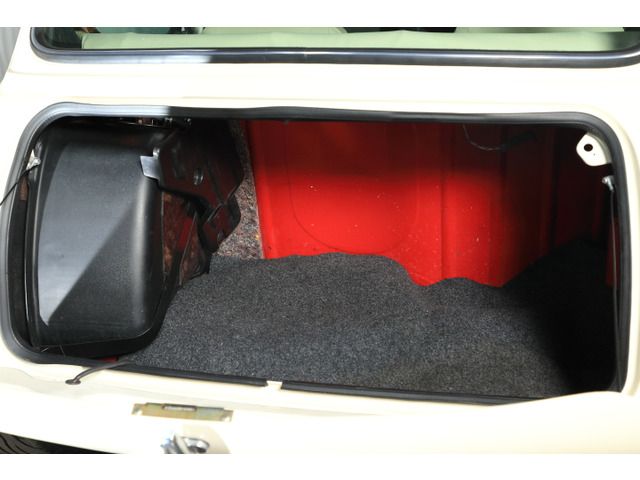 ROVER MINI