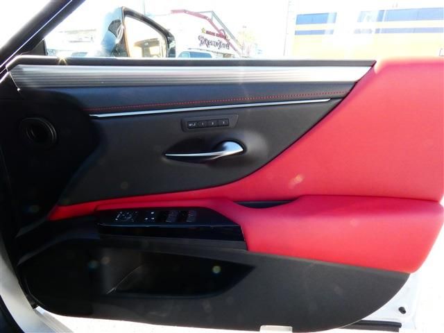 LEXUS ES300h