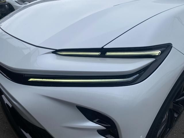 CROWN SPORT