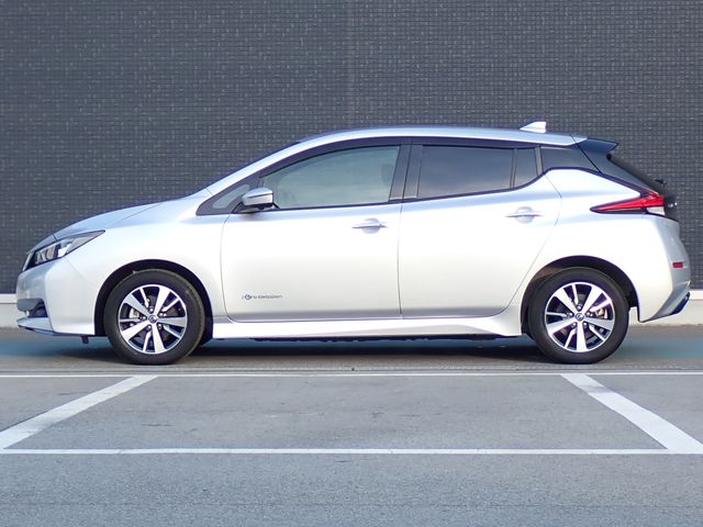 LEAF