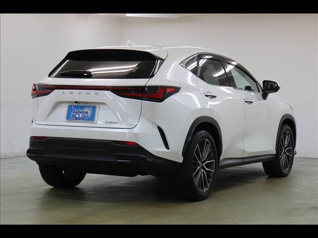 LEXUS NX350h