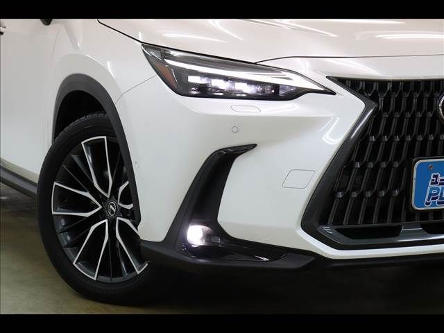 LEXUS NX350h