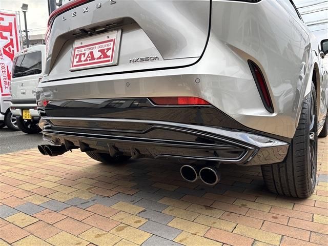 LEXUS NX350h