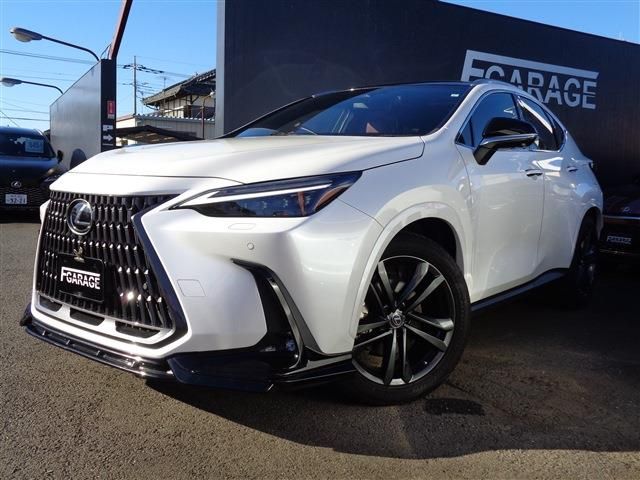 LEXUS NX250