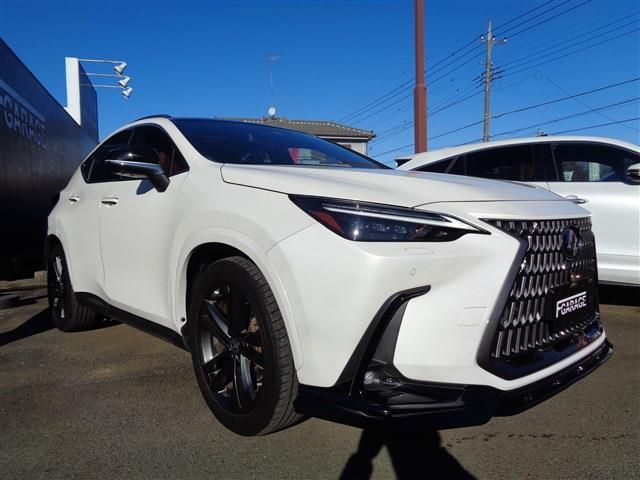 LEXUS NX250
