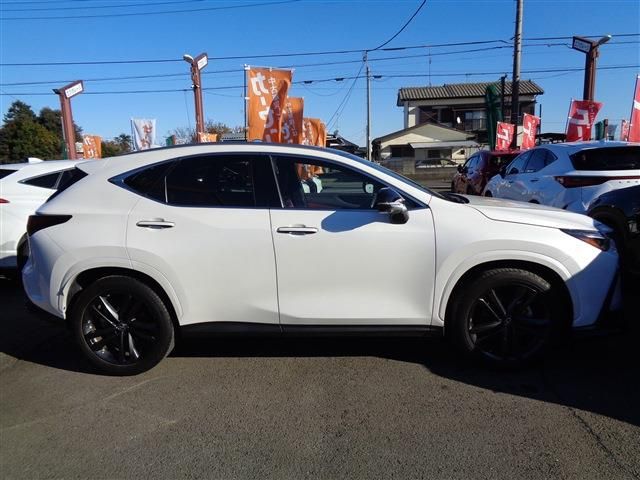 LEXUS NX250