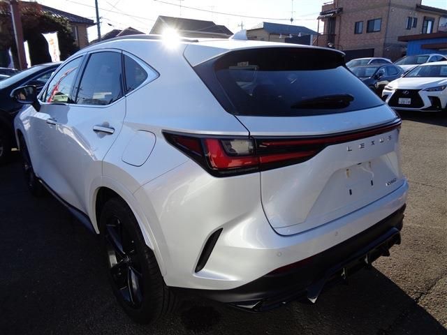 LEXUS NX250