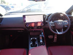 LEXUS NX250