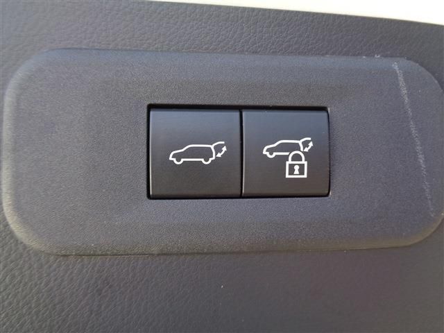 LEXUS NX250