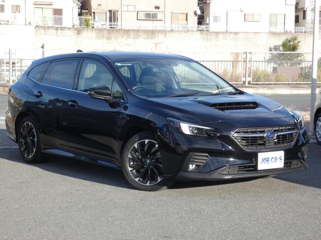 LEVORG