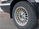SPRINTER TRUENO