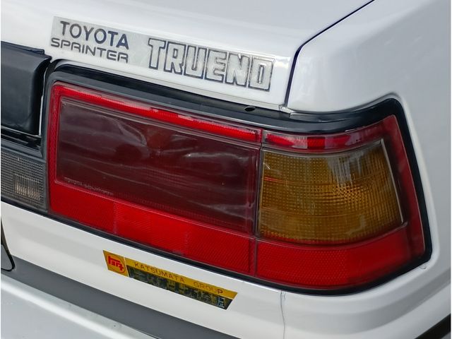 SPRINTER TRUENO