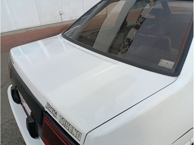 SPRINTER TRUENO