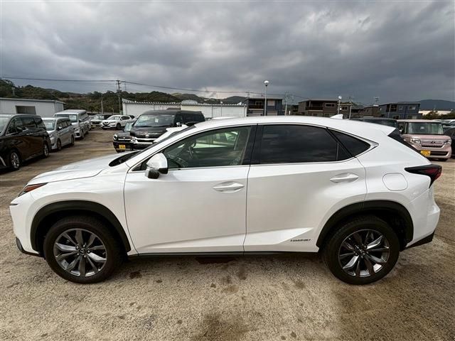 LEXUS NX300h