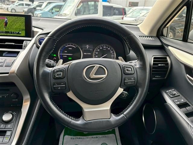 LEXUS NX300h