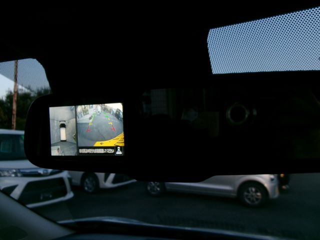 DAYZ