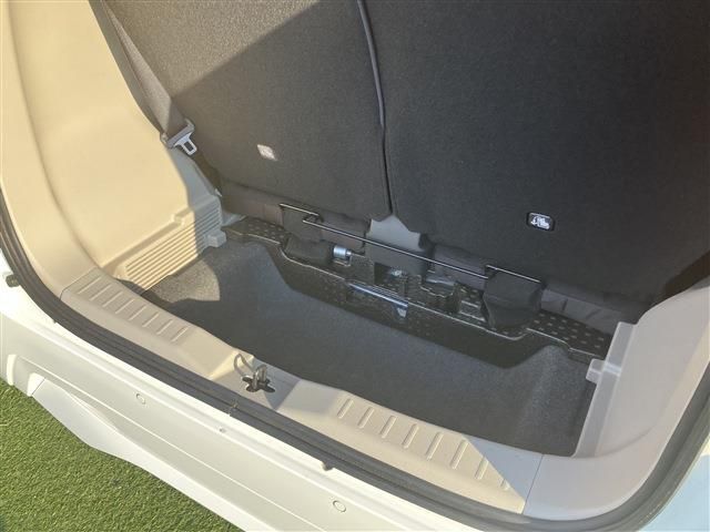 DAYZ