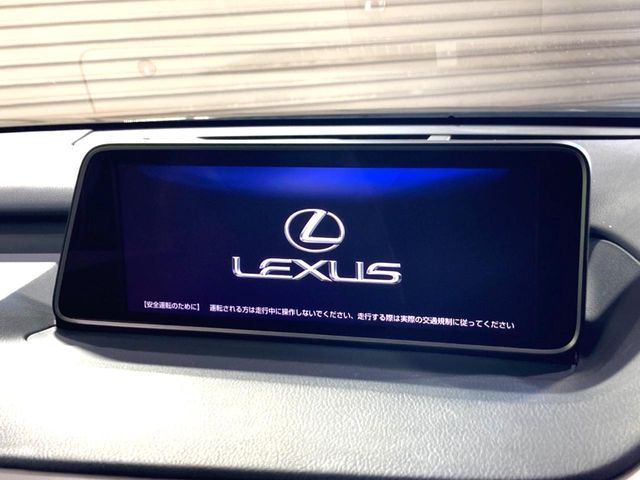 LEXUS RX200t