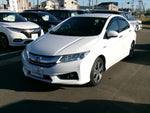 GRACE HYBRID