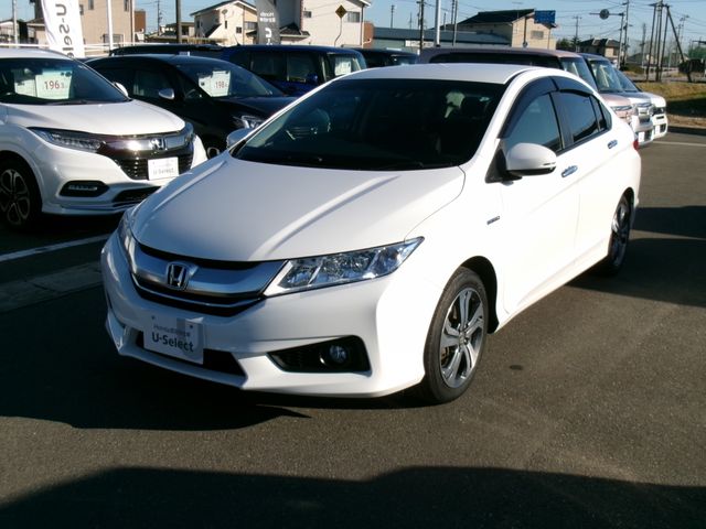 GRACE HYBRID