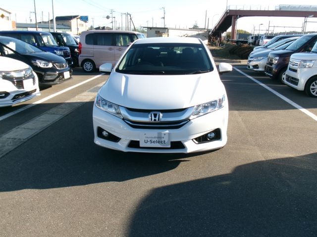 GRACE HYBRID