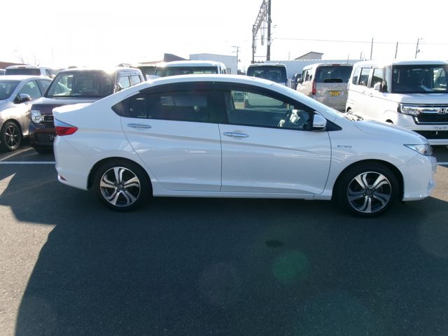 GRACE HYBRID