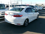 GRACE HYBRID