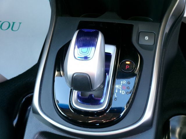 GRACE HYBRID