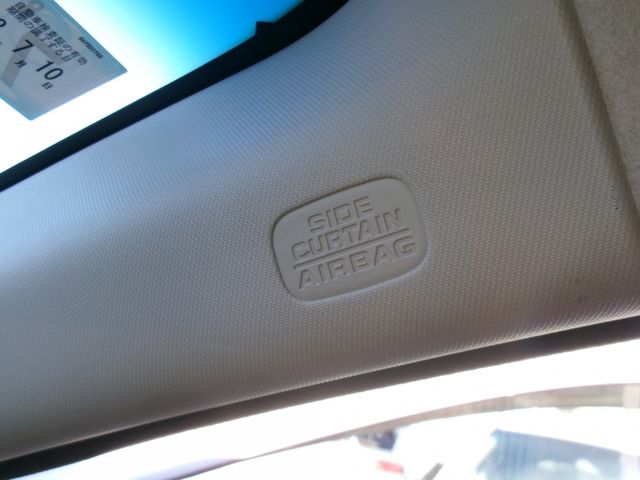 GRACE HYBRID