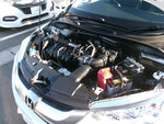 GRACE HYBRID