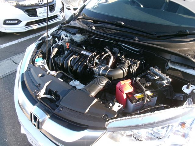 GRACE HYBRID