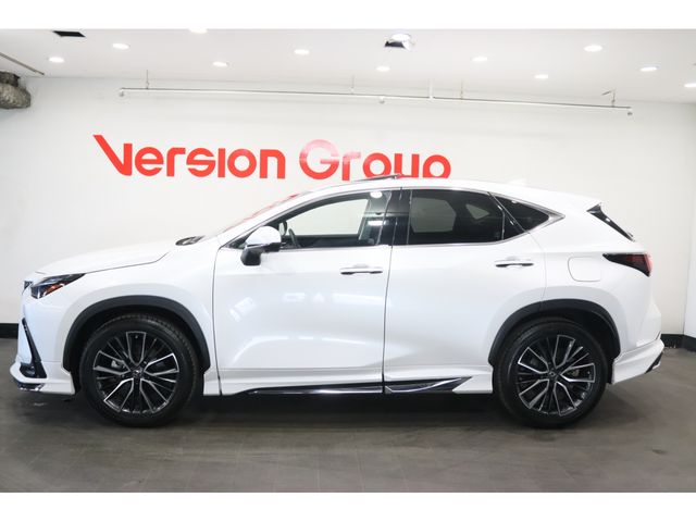 LEXUS NX350h