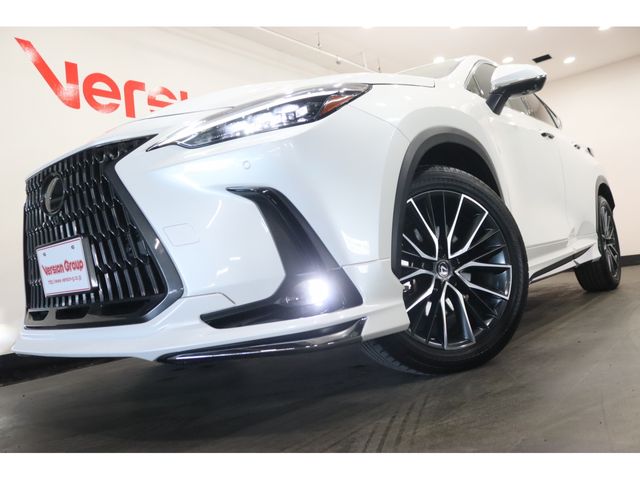 LEXUS NX350h