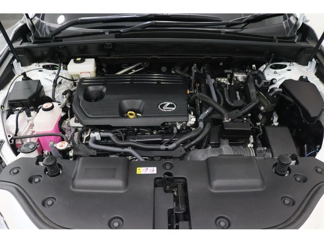 LEXUS NX350h