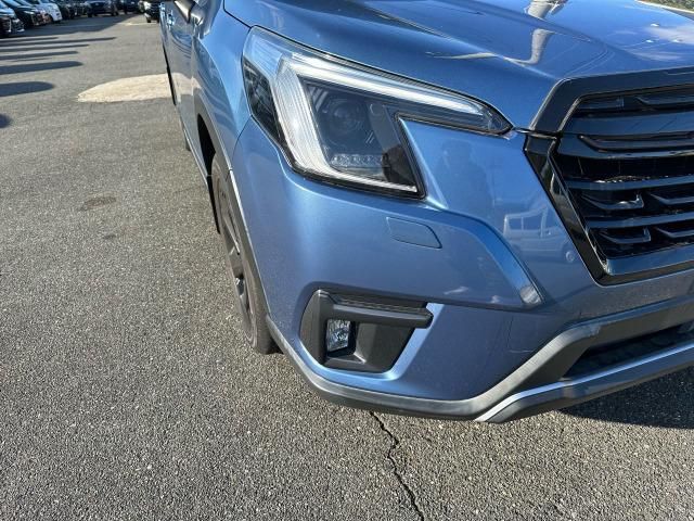 FORESTER