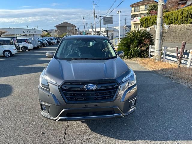 FORESTER