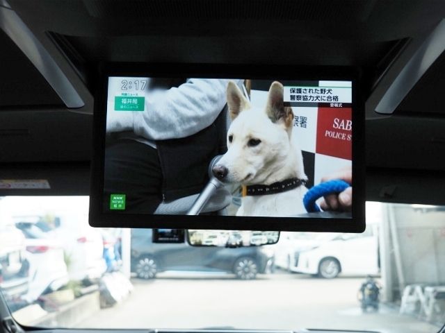 ALPHARD hybrid 4WD